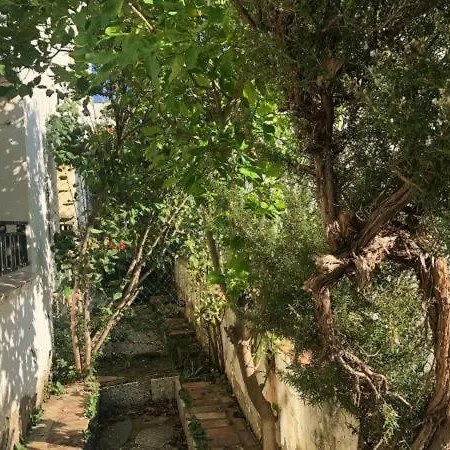 بيت ضيافة Pau