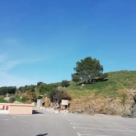 Camino De Santiago *